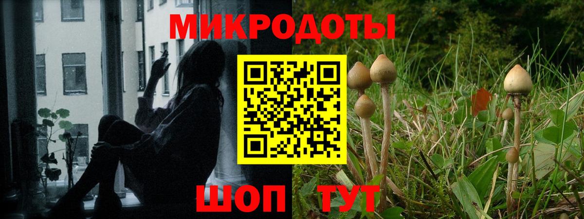 Сорочинск  Псилоцибиновые грибы Magic Shrooms  Вход с VPN 
